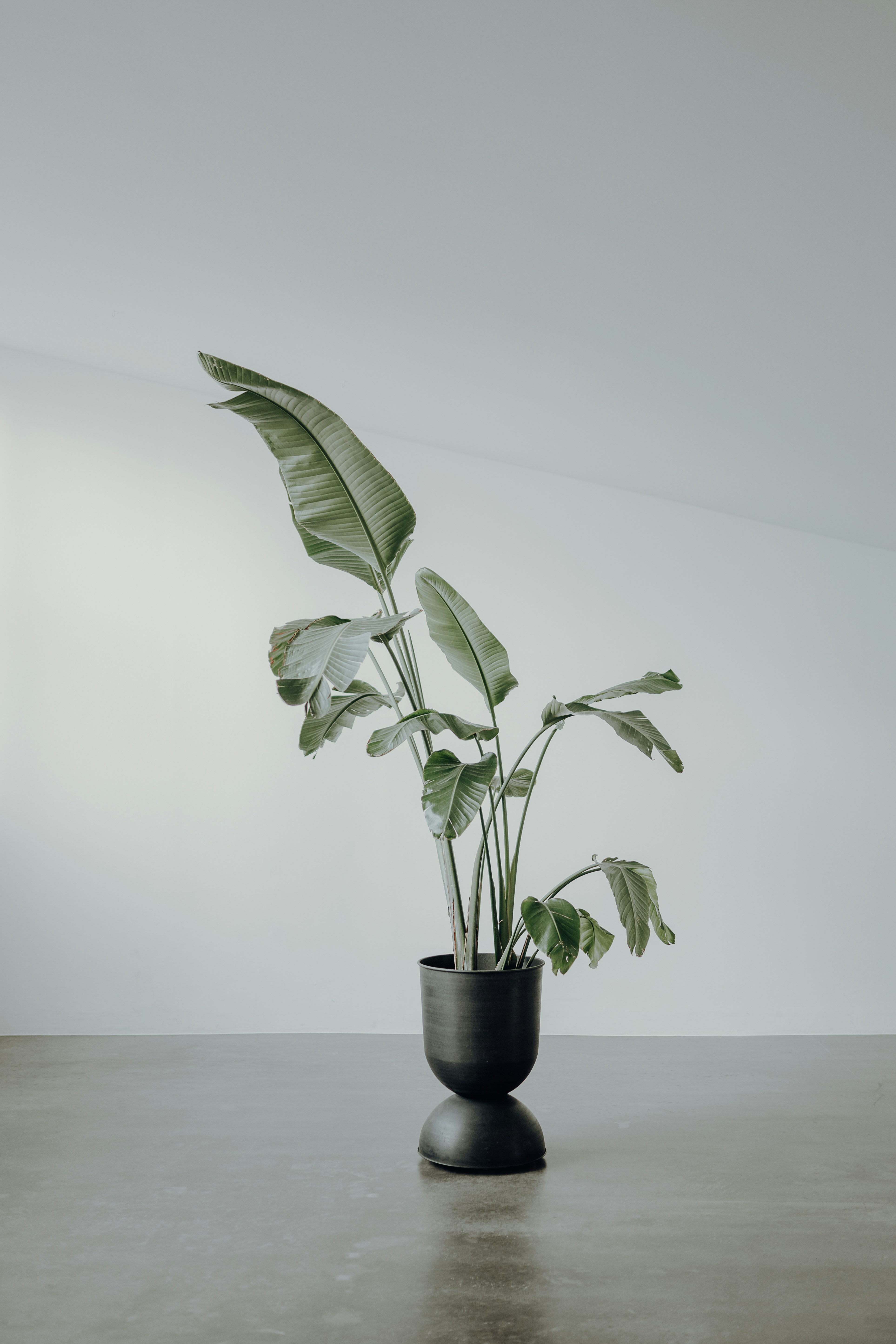 Is your home a living space or a museum dedicated to a person you no longer are?